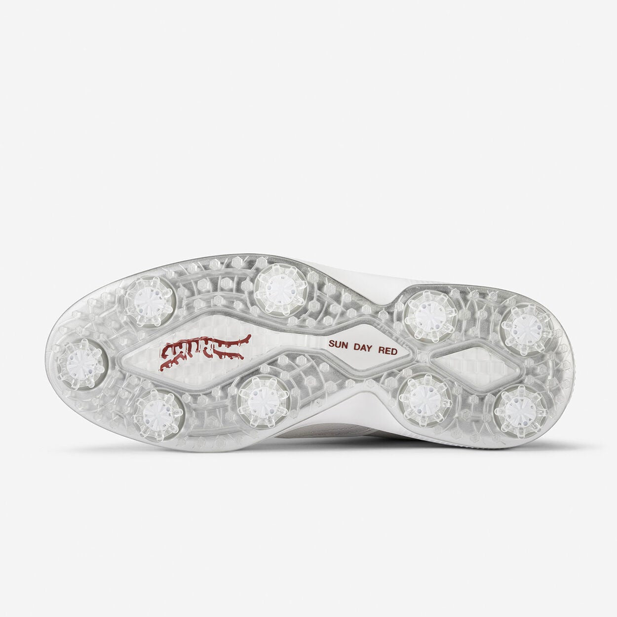 SUN DAY RED PIONEER CYPRESS -- WHITE