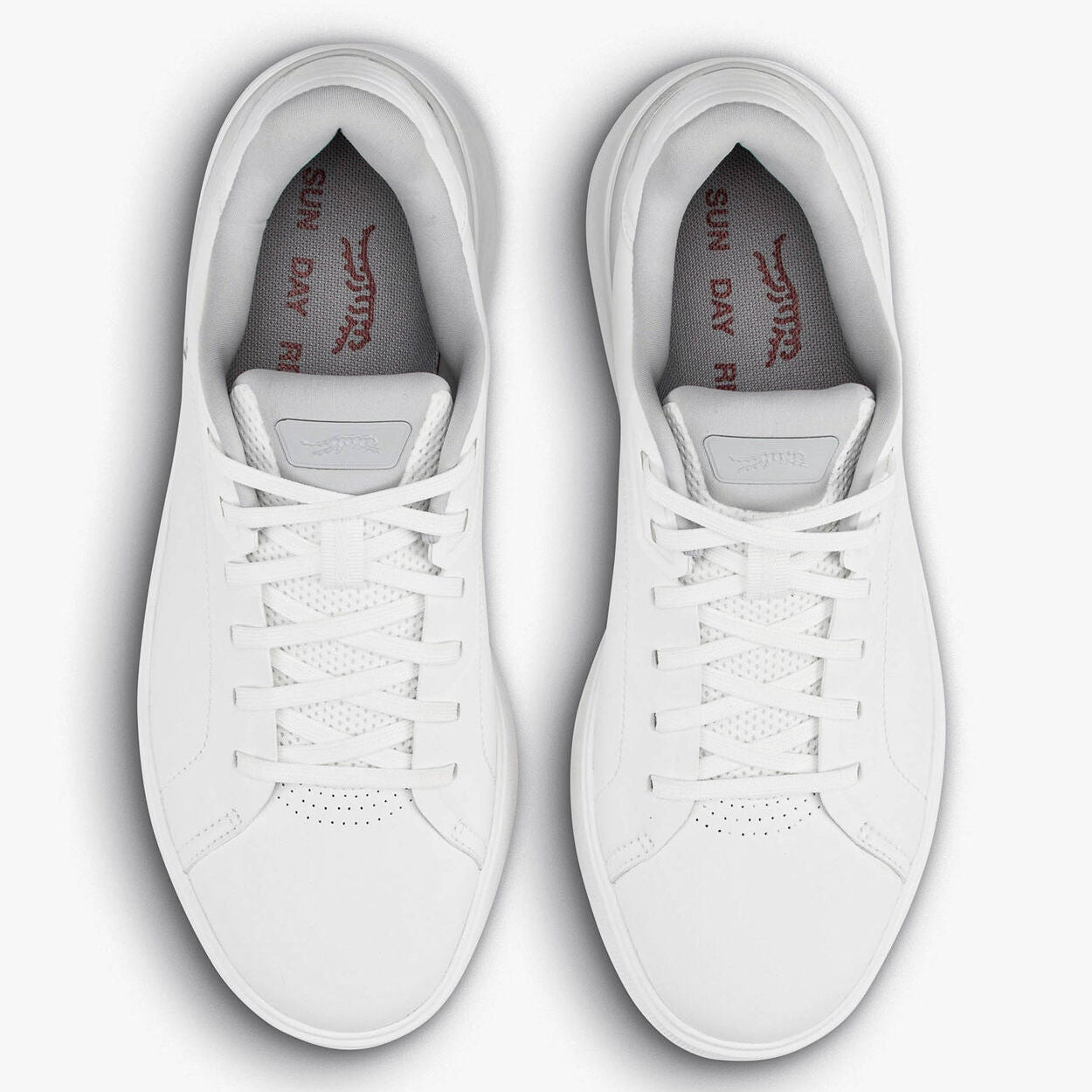 SUN DAY RED OSPREY -- WHITE