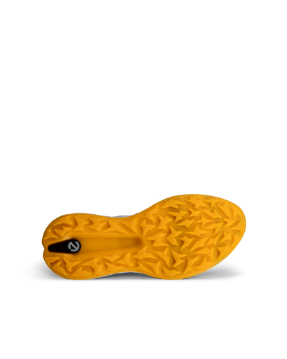 ECCO GOLF BIOM H5 -- GREY