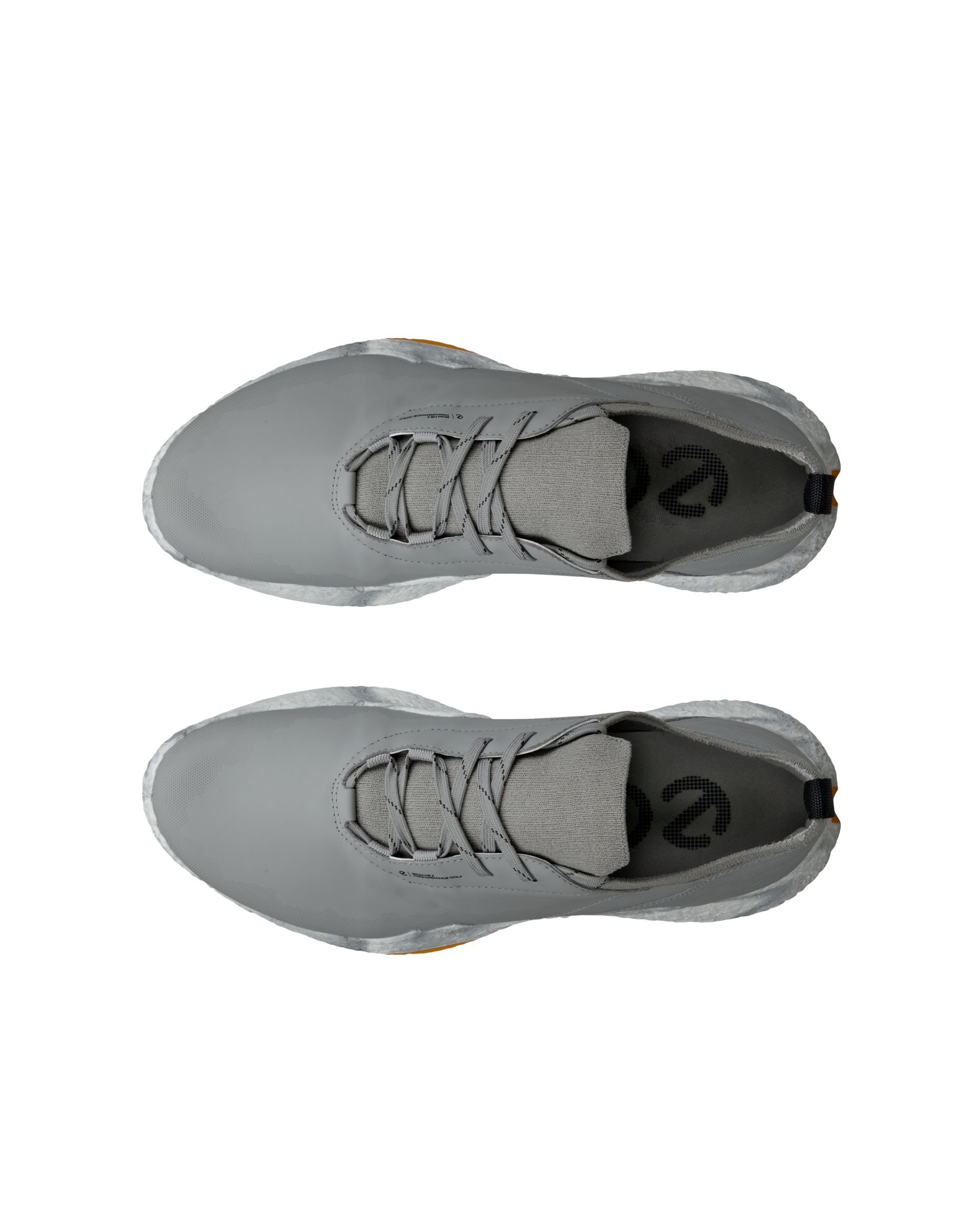 ECCO BIOM H5(グレー)を上方から見たペアショット
