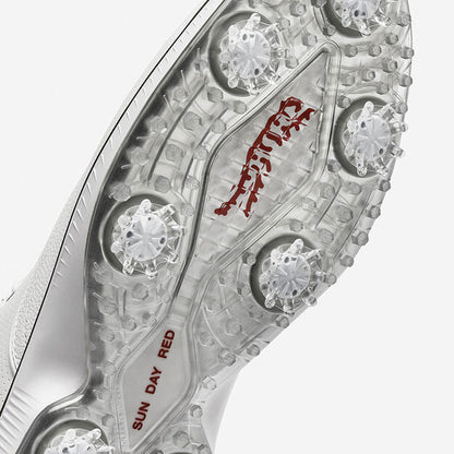 SUN DAY RED PIONEER CYPRESS -- WHITE