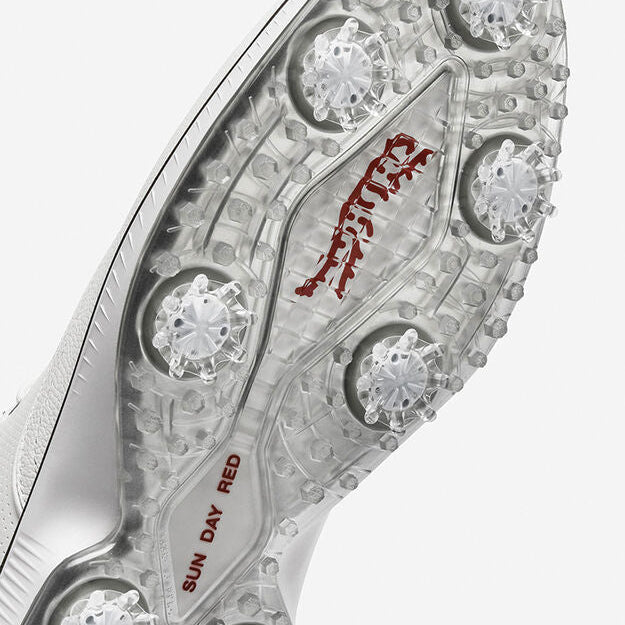 SUN DAY RED PIONEER CYPRESS -- WHITE