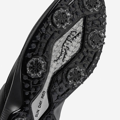 SUN DAY RED PIONEER CYPRESS -- BLACK