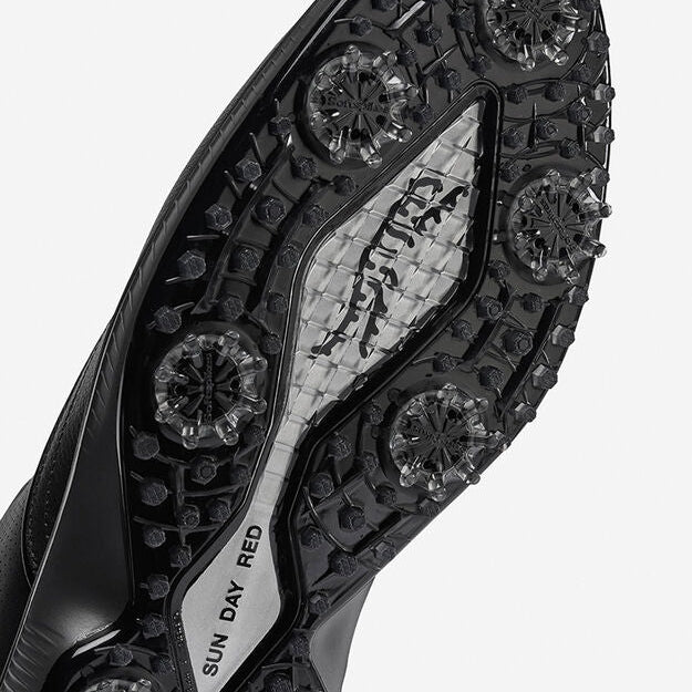 SUN DAY RED PIONEER CYPRESS -- BLACK