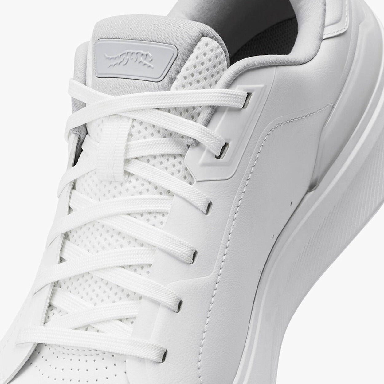 SUN DAY RED OSPREY -- WHITE